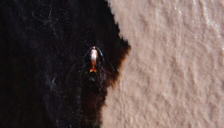 Emilijos Škarnulytės performansas