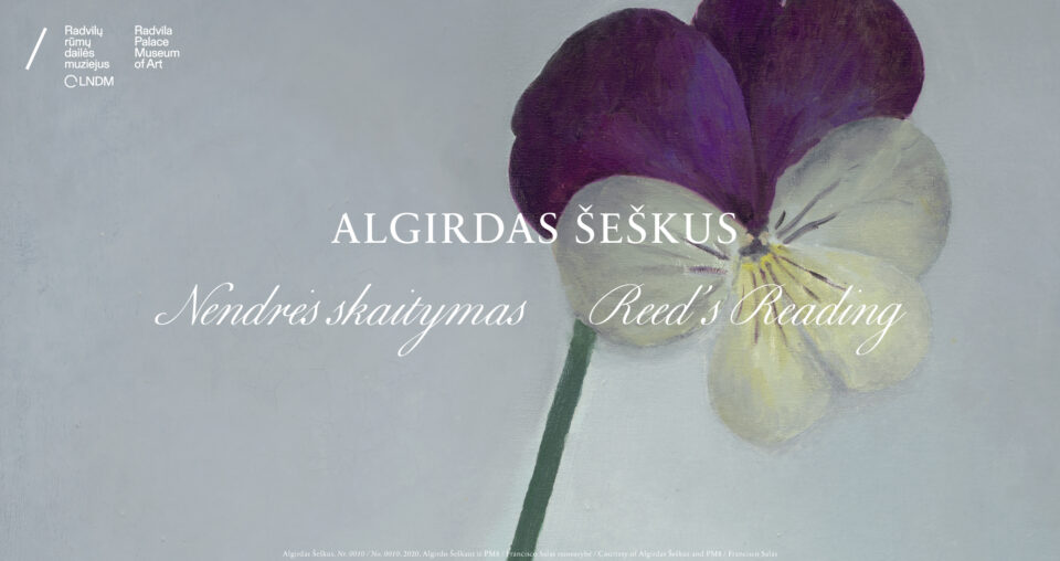 <span class="slider-name"><a href="https://www.lndm.lt/algirdas-seskus-nendres-skaitymas/">Algirdas Šeškus. Nendrės skaitymas</a></span><span class="sldier-meta">2023 m. gruodžio 8 d. – 2024 m. kovo 3 d.</span>